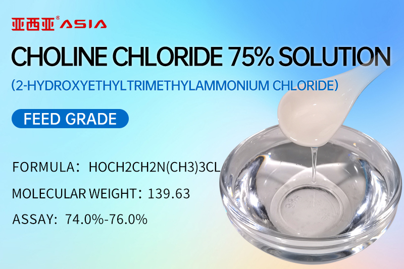 Choline Chloride 75% Solution