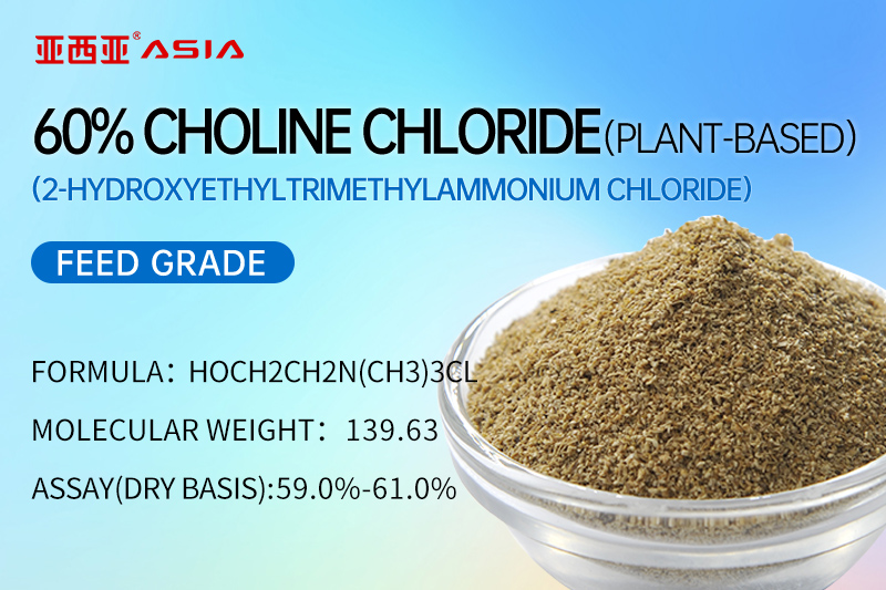 60% Choline Chloride （Plant-Based）