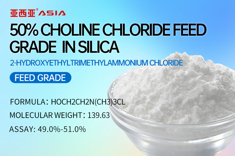 50% Choline Chloride Feed Grade  In Silica