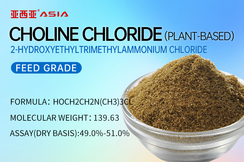 50% Choline Chloride （Plant-Based）